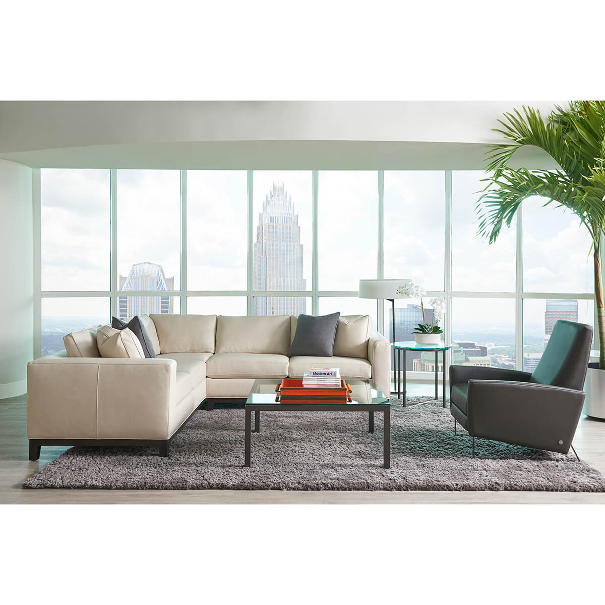 Read more about the article Brooke/Nico Living Room Collection