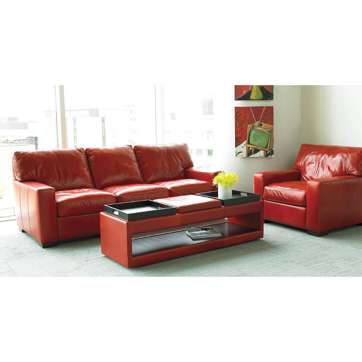 Read more about the article Danford Living Room Collection